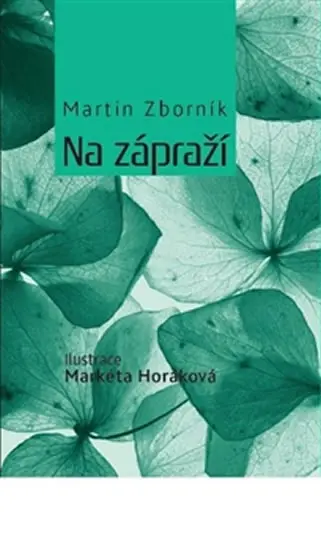 Na zápraží - Martin Zborník