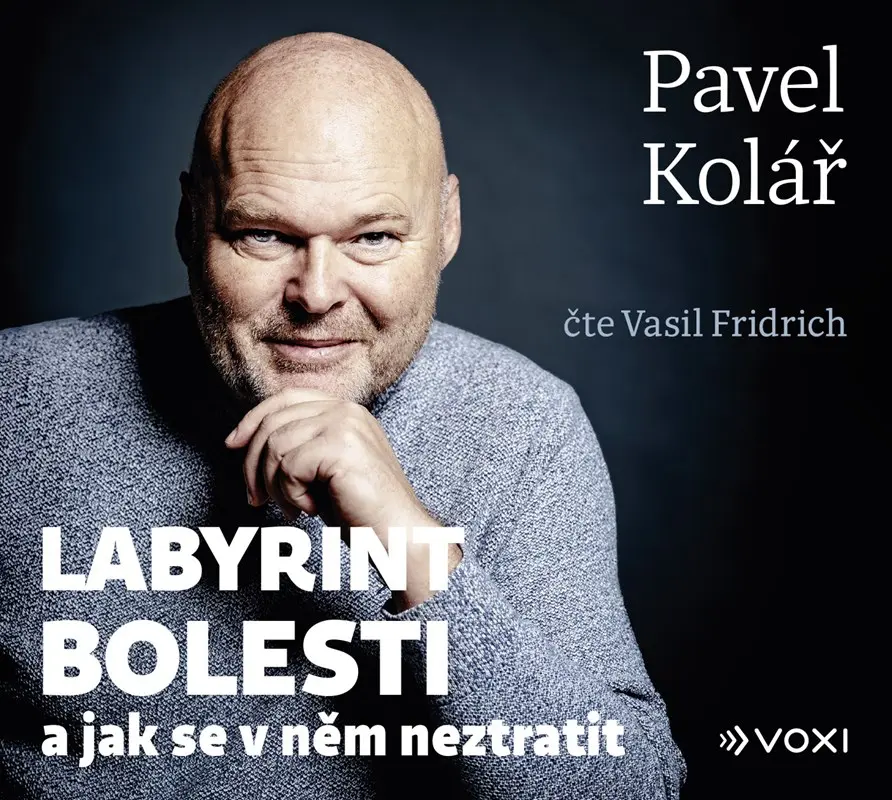 Labyrint bolesti  (audiokniha) - Pavel Kolář