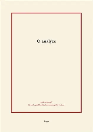 O analýze - Tomáš Holeček