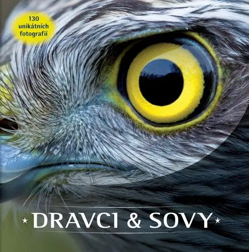 Dravci a sovy: 150 unikátních fotografií - kolektiv autorů
