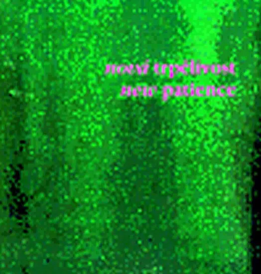 Nová trpělivost/ New Patience - kolektiv autorů