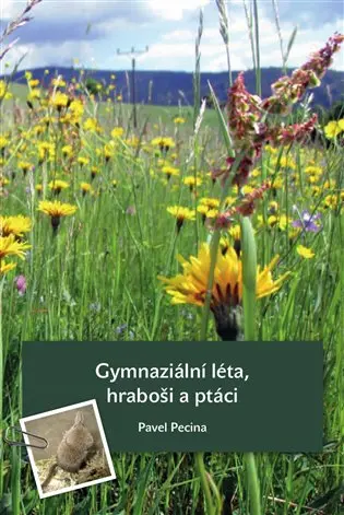 Kniha celestýnčiny kouzelné kuličky