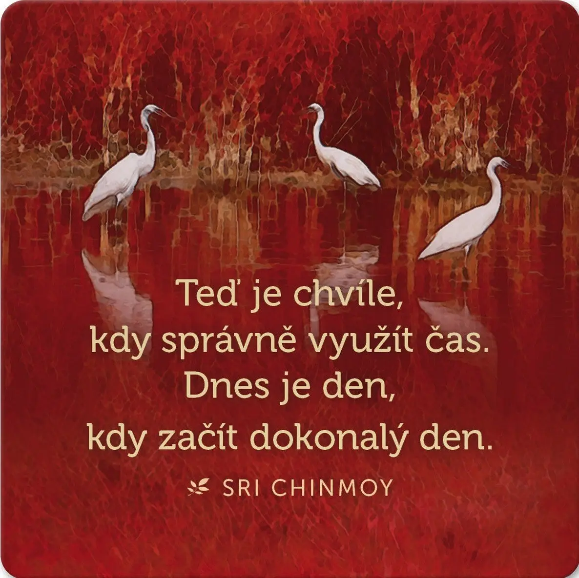 Korkový podtácek s citátem Teď je chvíle, kdy správně využít čas. Dnes je den, kdy začít - Sri Chinmoy