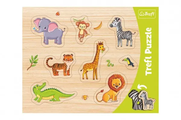 Vkládačka: Safari