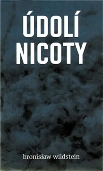 Údolí nicoty - Bronislav Wildstein