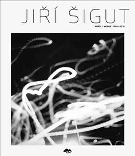 Jiří Šigut: Práce/Works 1985-2018 - Jakub Guziur