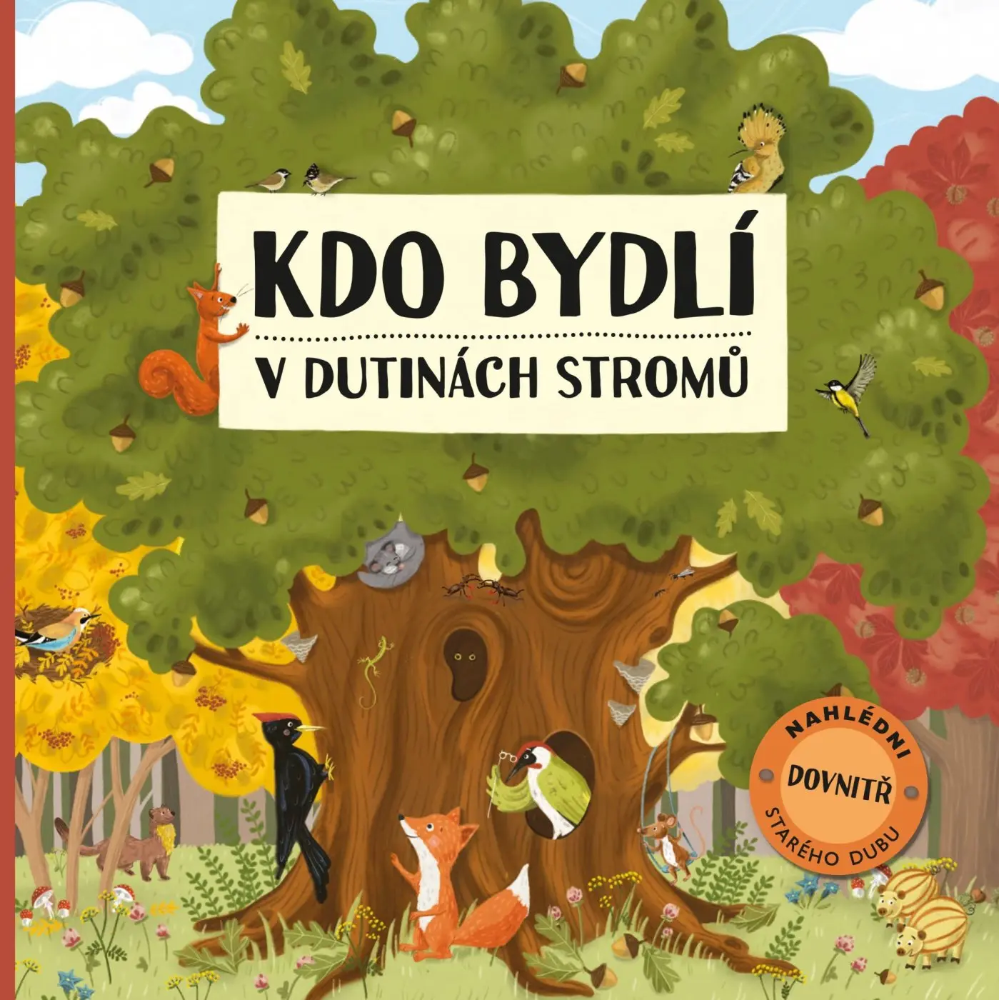 Kdo bydlí v dutinách stromů - Markéta Špačková