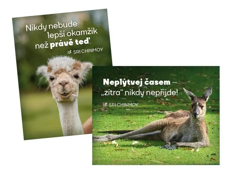 Magnet na lednici 2 ks Neplýtvej časem + Nikdy nebude - Sri Chinmoy