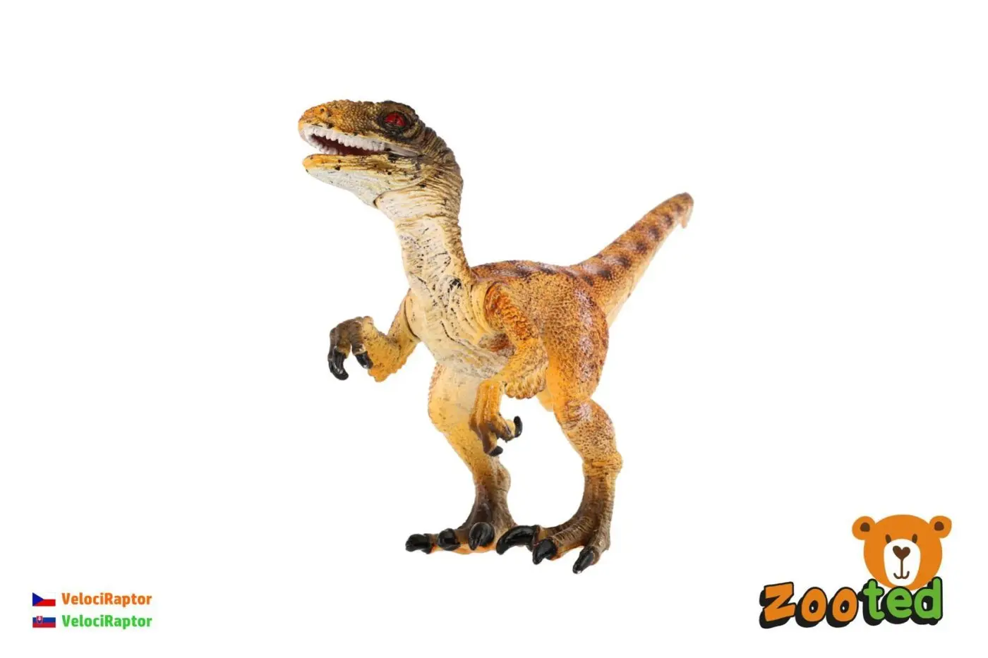 Velociraptor dinosaurus