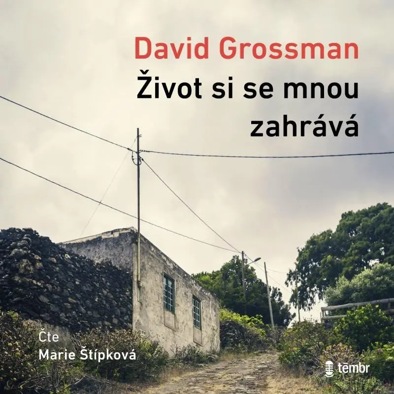 Život si se mnou zahrává (audiokniha) - David Grossman