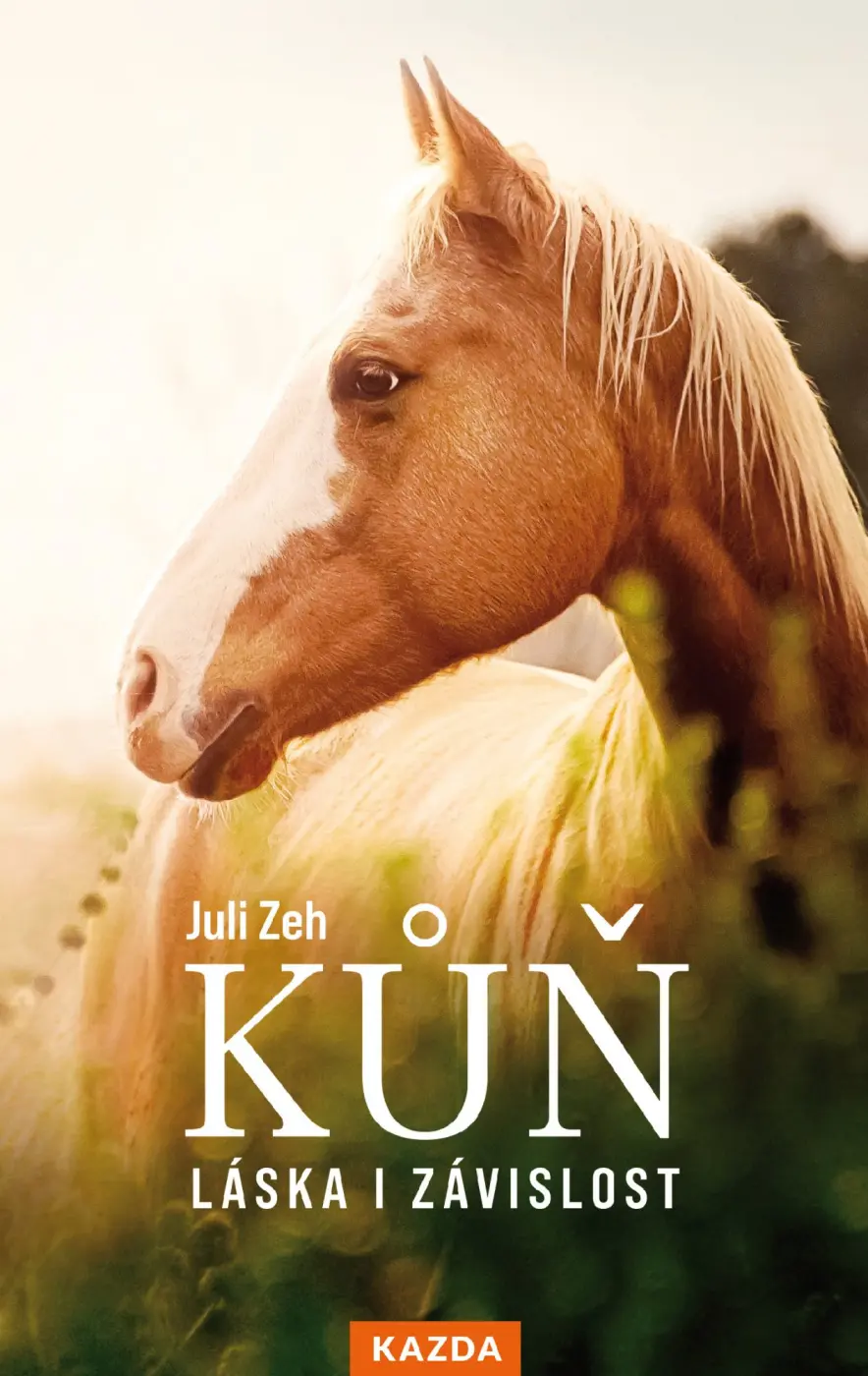 Kůň – Láska i závislost