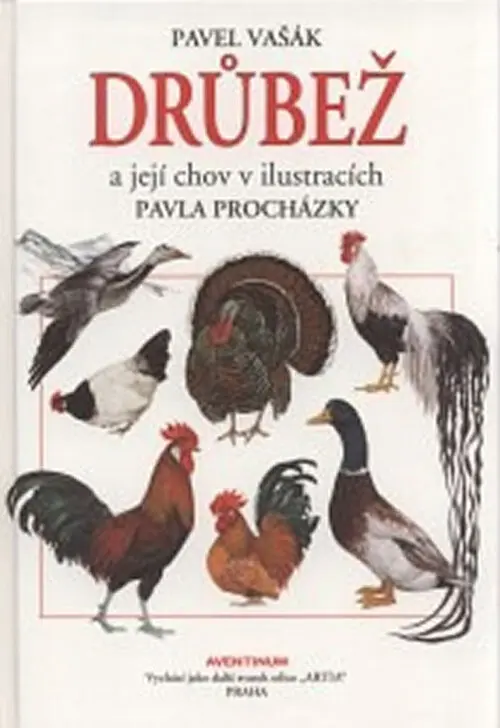 Drůbež - Pavel Vašák