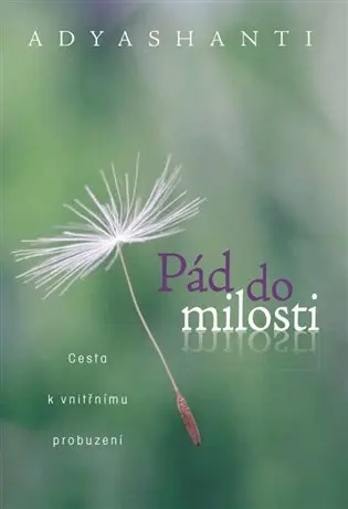 Pád do milosti - Cesta k vnitřnímu probuzení - Adyashanti