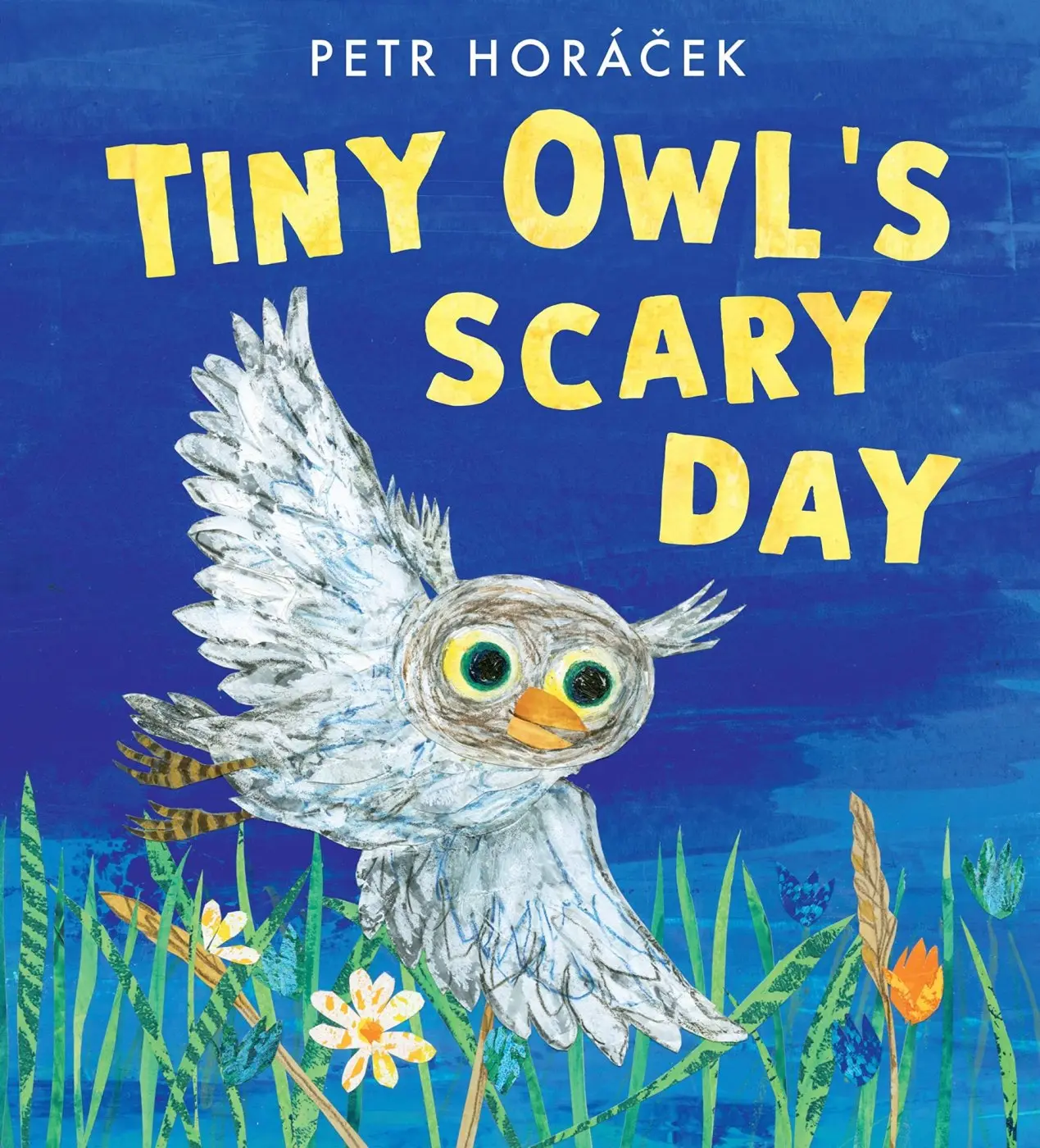 Tiny Owl's Scary Day - Petr Horáček
