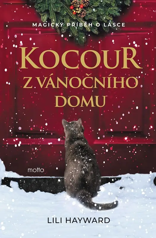 Kocour z vánočního domu - Lili Hayward