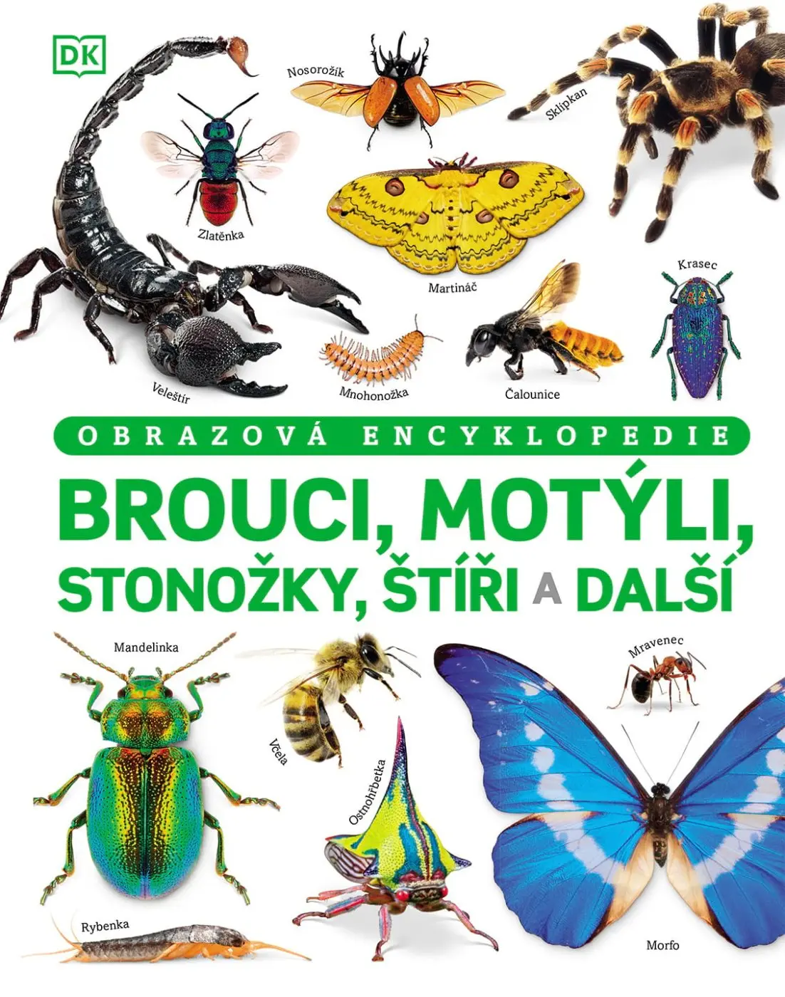 Brouci, motýli, stonožky, štíři a další - Obrazová encyklopedie - Andrea Mills