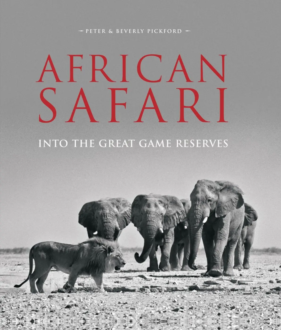 African Safari - Beverley Pickford