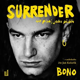 Surrender: 40 písní, jeden příběh (audiokniha) - Bono