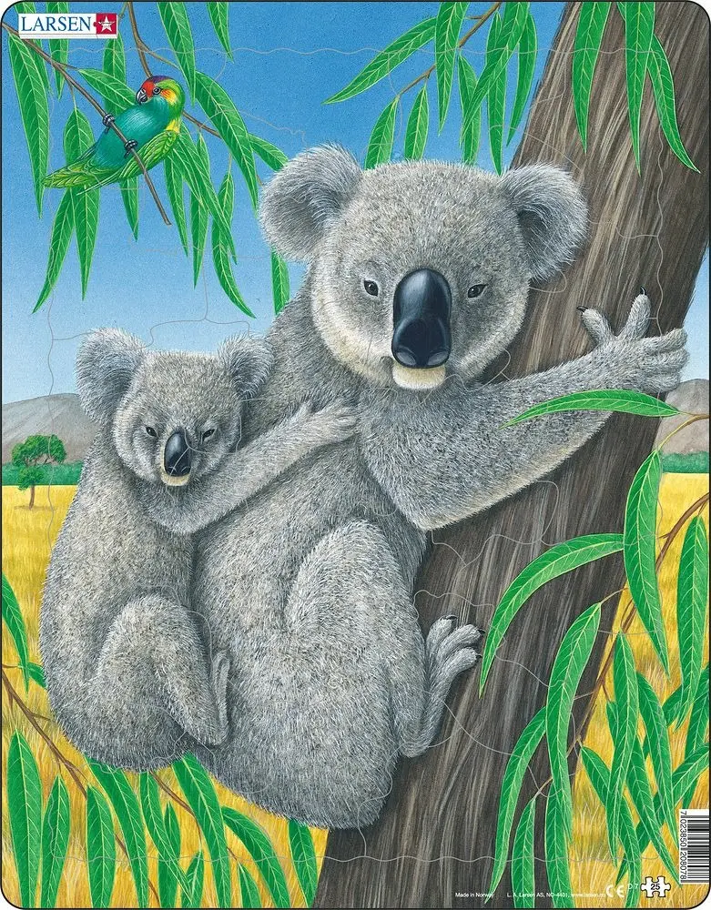 Koala (D7) - puzzle z kategorie 15 – 60 dielikov