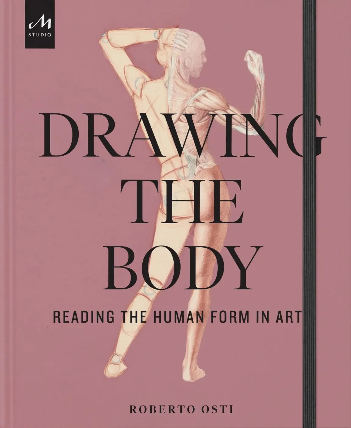 Drawing the Body (Reading the Human Form in Art) - Roberto Osti