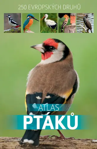 Atlas ptáků - 250 evropských druhů - Dominik Marchowski