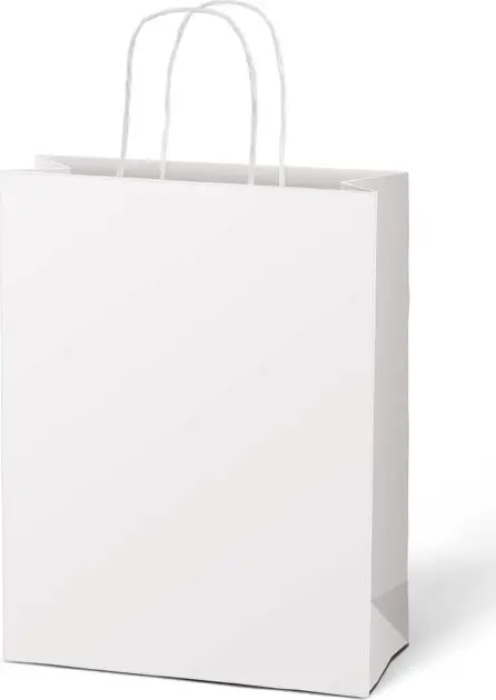 Dárková taška KRAFT 260x320x100 bílá
