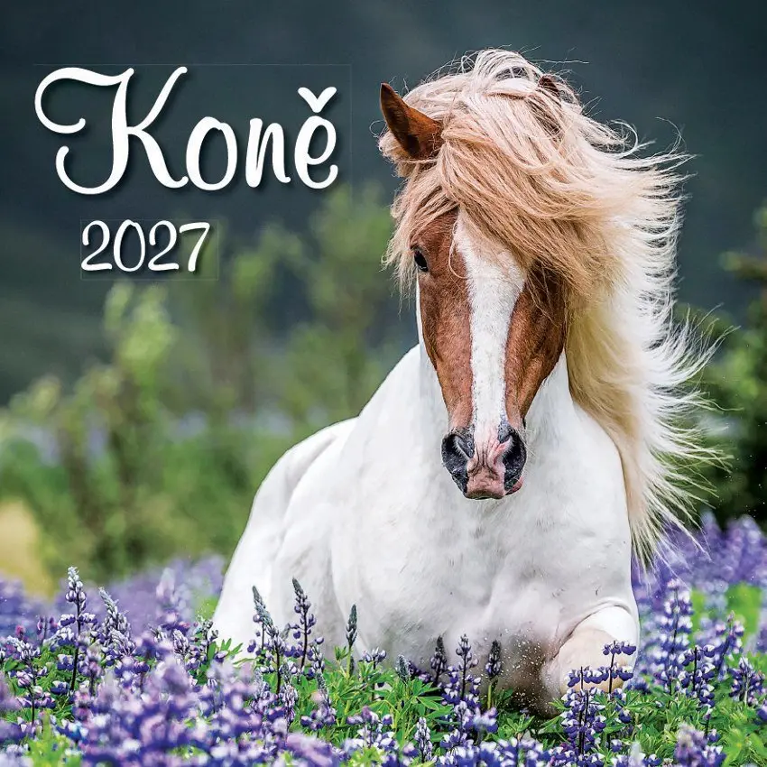 Kalendář 2027 nástěnný: KONĚ
