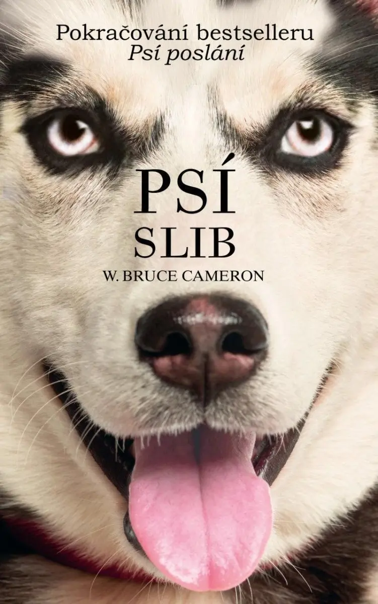 Psí slib - Bruce W. Cameron