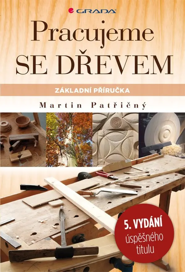 Pracujeme se dřevem - Základní příručka - Martin Patřičný