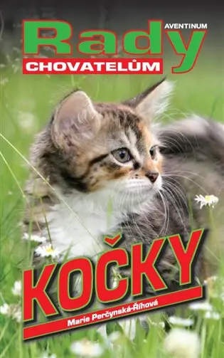 Kočky - Rady chovatelům - Marie Říhová Perčynská