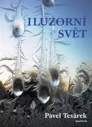 Iluzorní svět - Pavel Tesárek