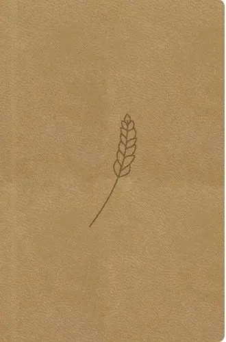 Bible, překlad 21. století (medová) - kapesní