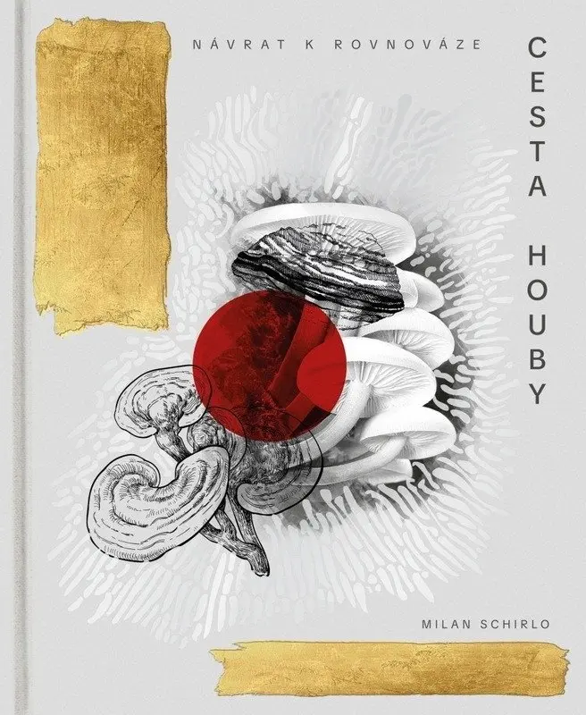 Cesta houby