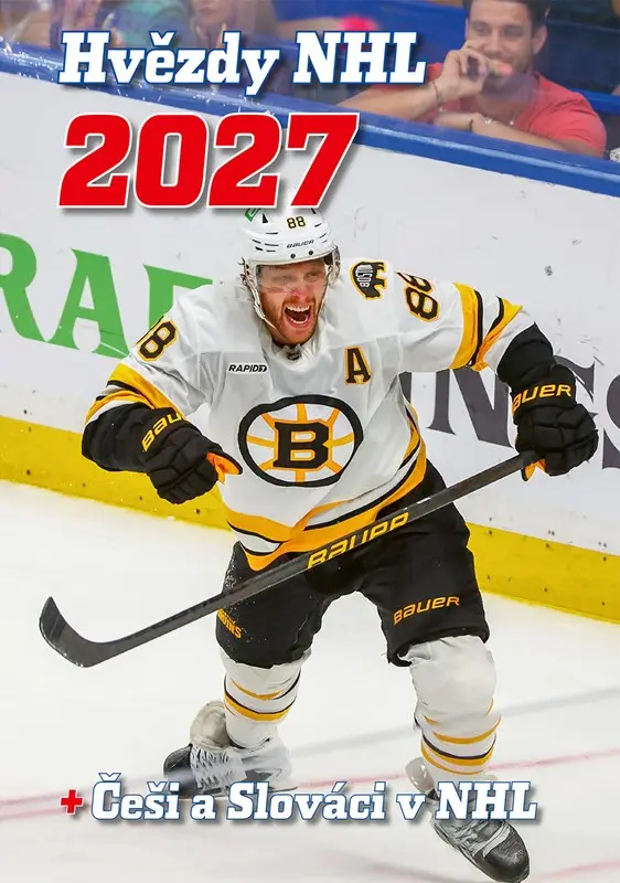 Hvězdy NHL 2027 + Češi a Slováci v NHL