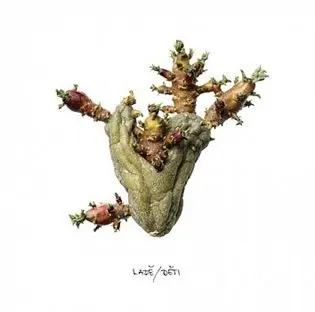 Ladě: Děti - Ladě