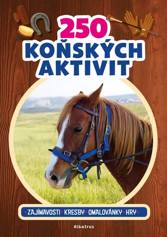 250 koňských aktivit - kolektiv autorů
