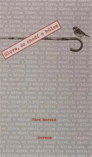 Slova, co chodí o hůlce - Věra Borská