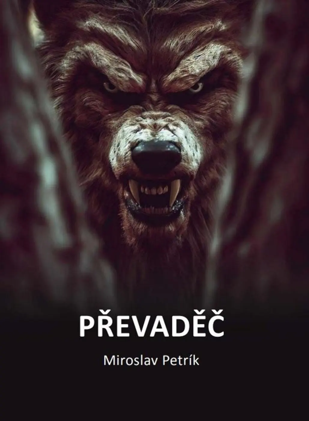 Převaděč - Miroslav Petrík