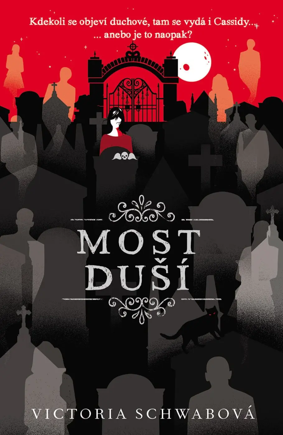 Most duší (Cassidy Blake 3) - V. E. Schwab