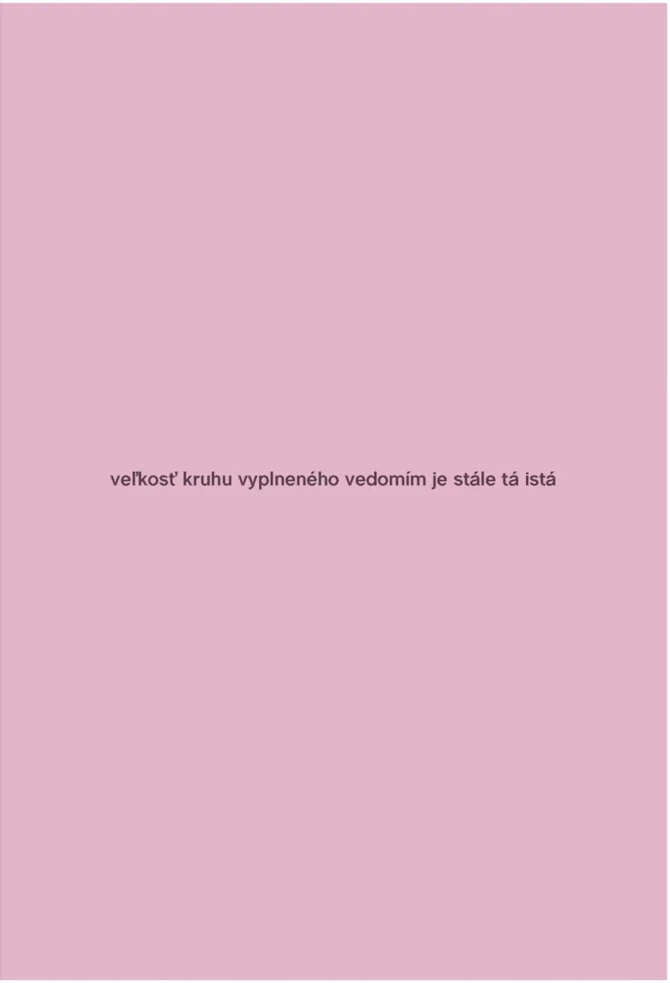 Martin Vongrej. Váha vědomí / The Weight of Consciousness - Petr Ingerle