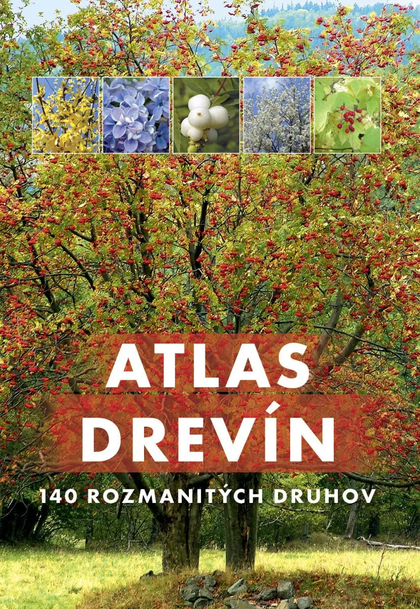 Atlas drevín - Aleksandra Halarewicz