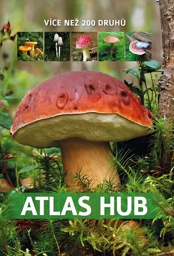 Atlas hub - Více než 200 druhů - Patrycja Zarawska