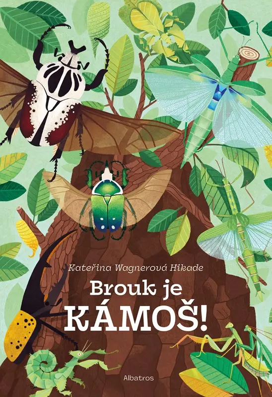 Brouk je kámoš - Kateřina Wagnerová Hikade