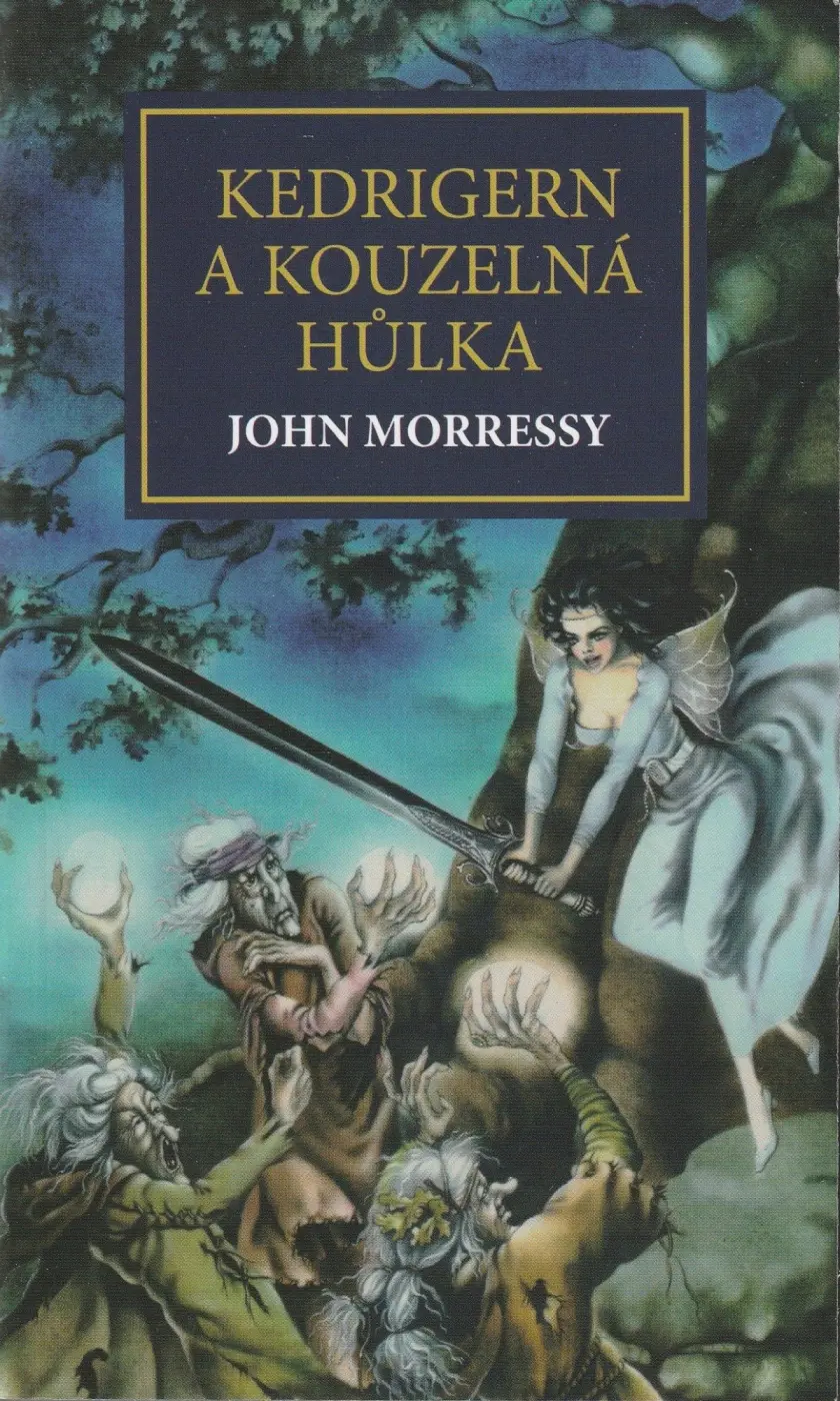 Kedrigern a kouzelná hůlka - John Morressy