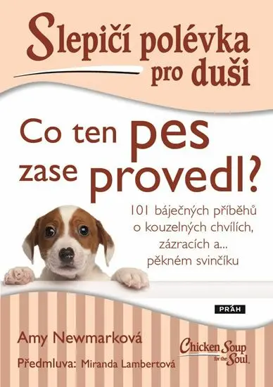 Slepičí polévka pro duši - Co ten pes zase provedl? - Amy Newmark