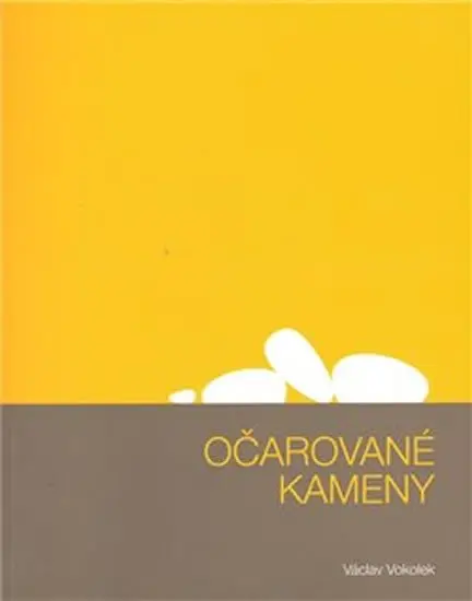 Očarované kameny + CD - Václav Vokolek