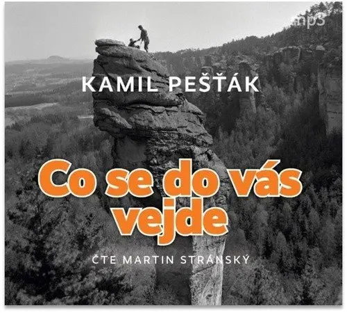CD Co se do vás vejde (Čte Martin Stránský) (audiokniha) - Kamil Pešťák