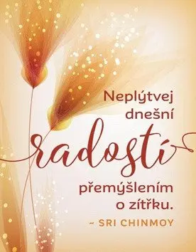 Magnet na lednici - Neplýtvej dnešní radostí přemýšlením o zítřku - Sri Chinmoy