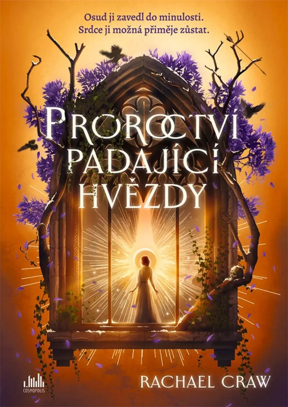 Proroctví padající hvězdy - Rachel Craw