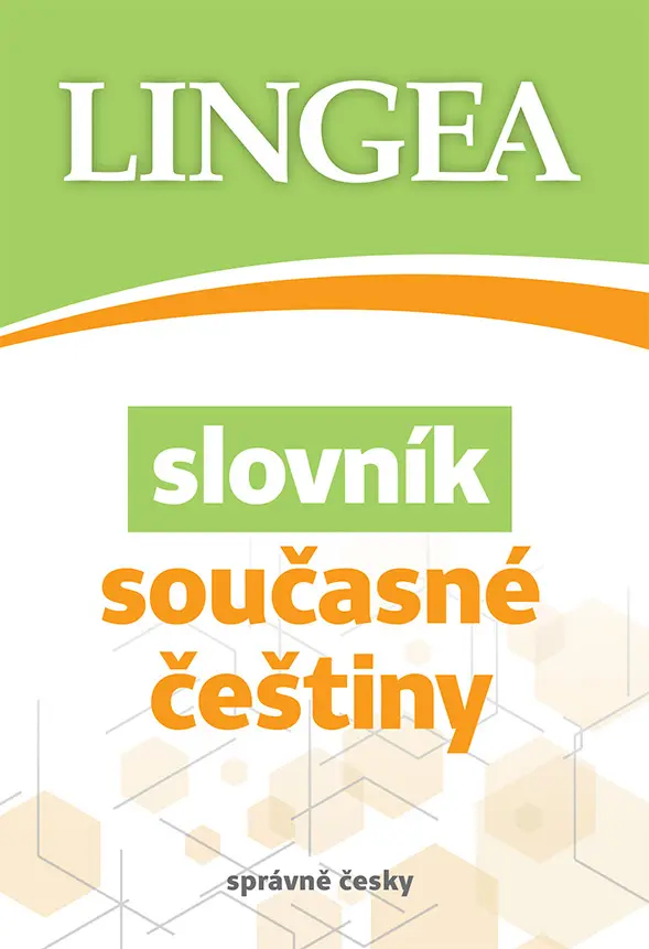 Slovník současné češtiny - kolektiv autorů